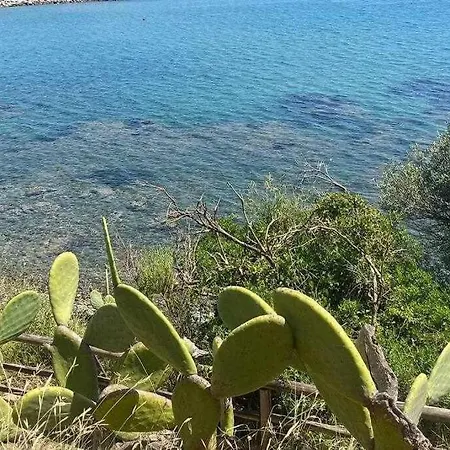 Vista Spettacolare Sul Mare - Casa Aniello * Marina Di Casal Velino